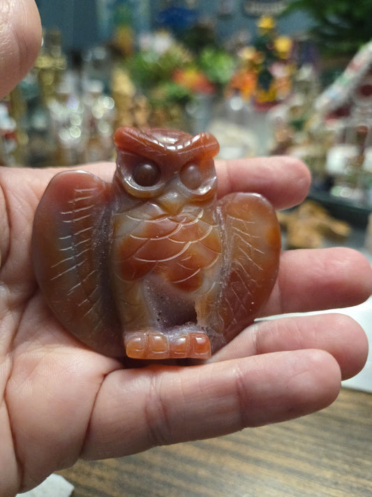 Self Confidence| Love ♧| Creativity Carnelian Druzy Agate| Owl| Root|sacral |solar plexus chakra