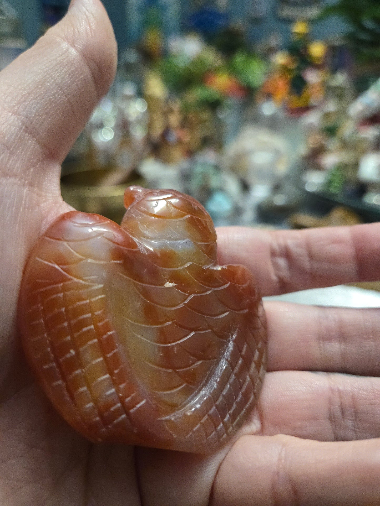 Self Confidence| Love ♧| Creativity Carnelian Druzy Agate| Owl| Root|sacral |solar plexus chakra