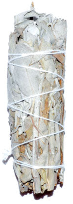 California White Sage smudge stick 3